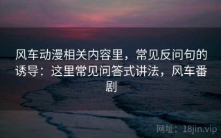 风车动漫相关内容里，常见反问句的诱导：这里常见问答式讲法，风车番剧