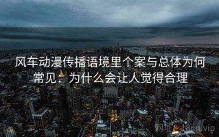 风车动漫传播语境里个案与总体为何常见：为什么会让人觉得合理