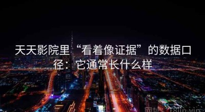 天天影院里“看着像证据”的数据口径：它通常长什么样