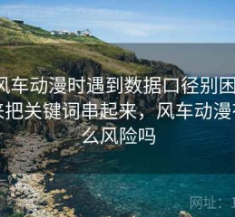 读风车动漫时遇到数据口径别困惑：我来把关键词串起来，风车动漫有什么风险吗