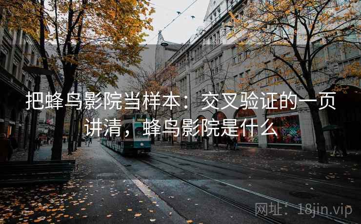把蜂鸟影院当样本：交叉验证的一页讲清，蜂鸟影院是什么