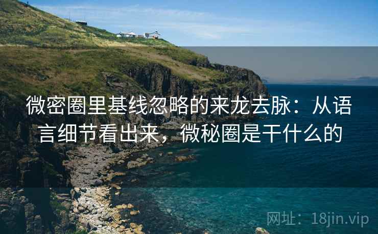 微密圈里基线忽略的来龙去脉：从语言细节看出来，微秘圈是干什么的